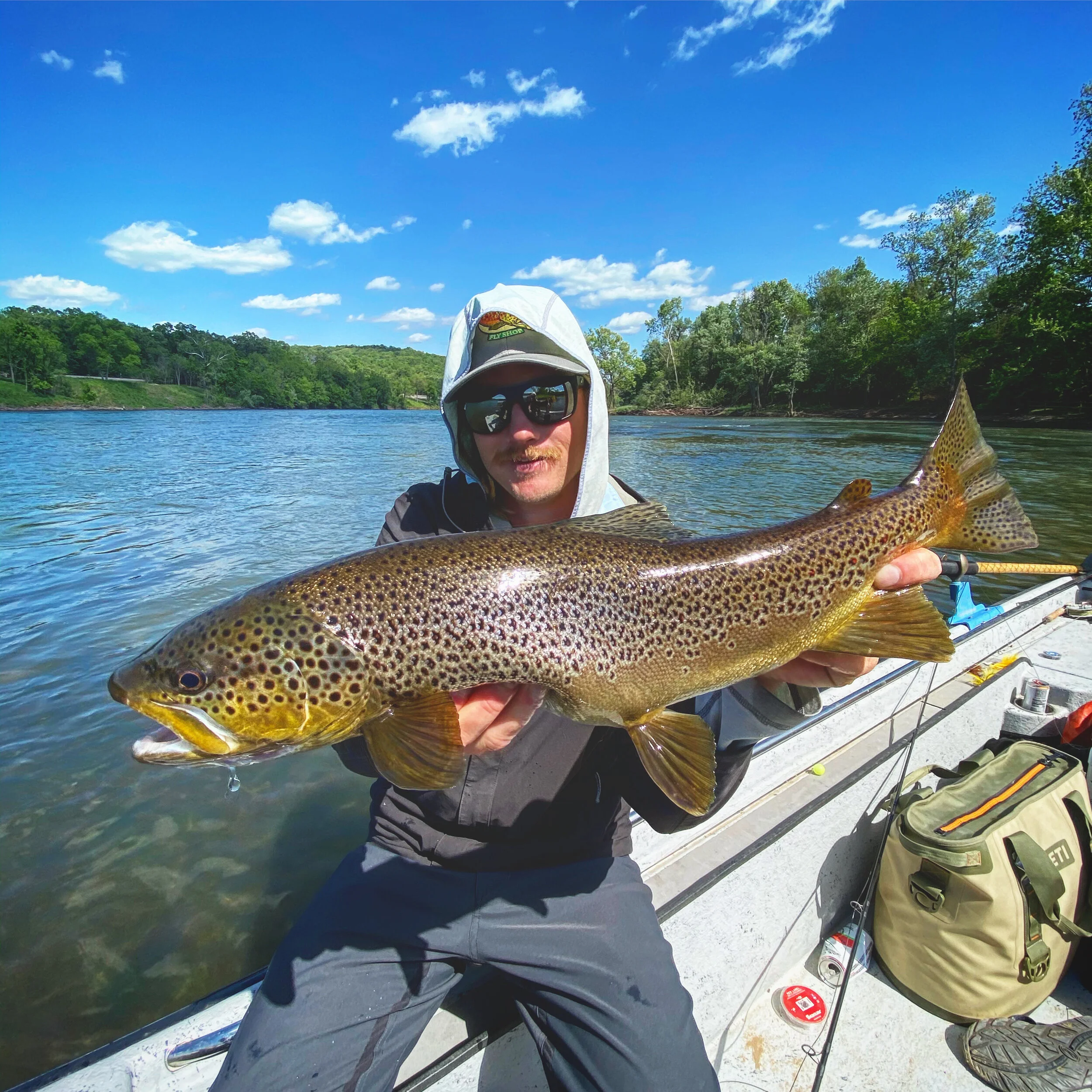 White river trout fishing deals